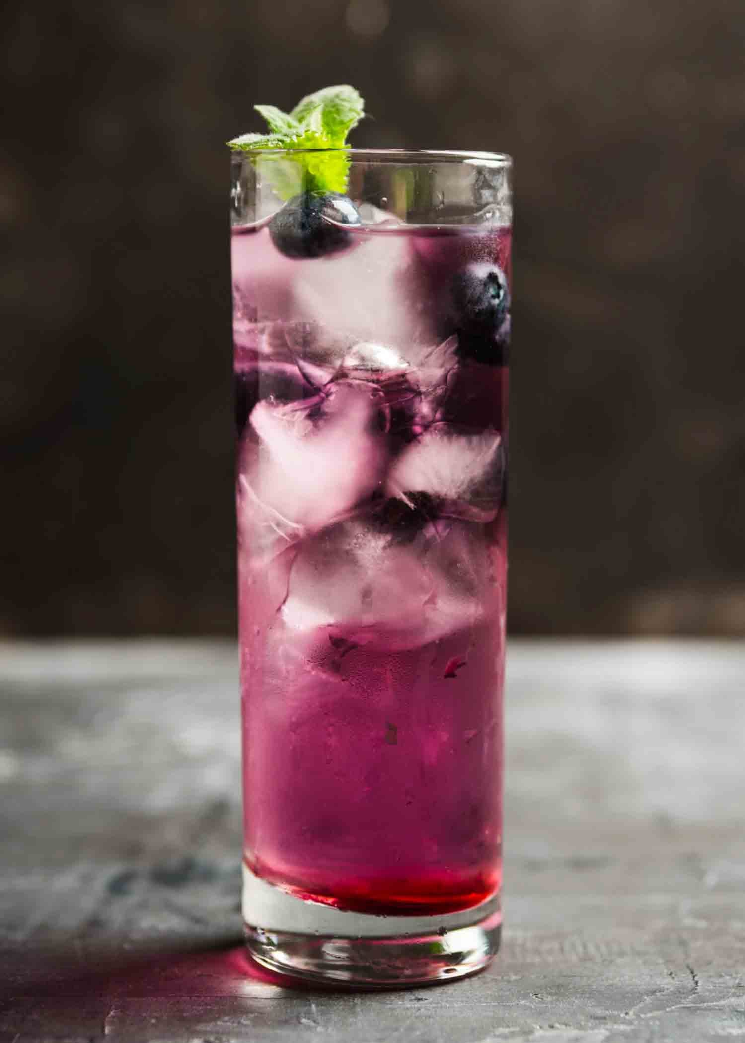 Low Sugar Blueberry Mojito Recipe