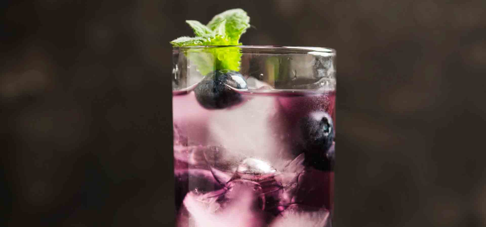 Blueberry Mint Mojito