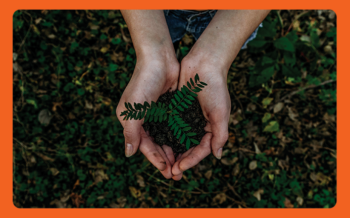 5 Ways to be Sweet to the Planet this Earth Day