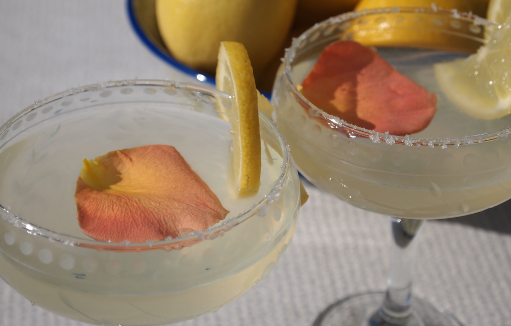Sugar-free lemon inspired cocktail