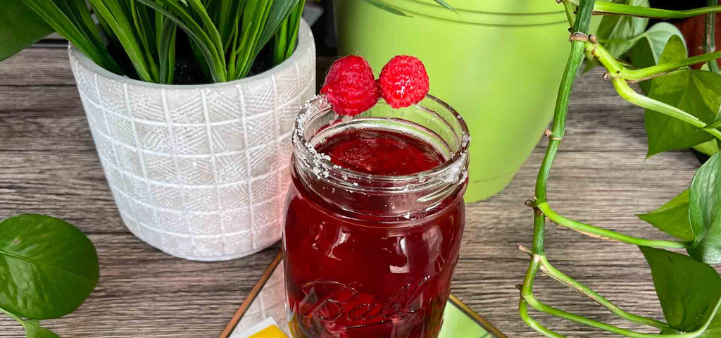 Sugar Free Raspberry Hibiscus Bubble Tea Recipe