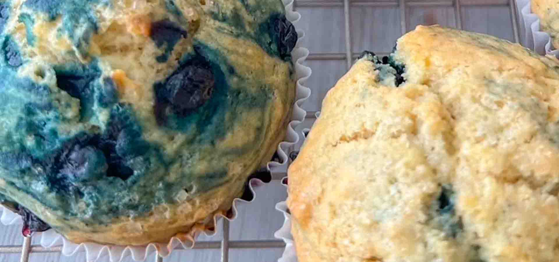 Vegan Starbucks Dupe Blueberry Muffins