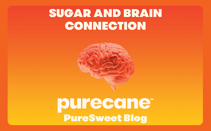 The Sugar & Brain Connection