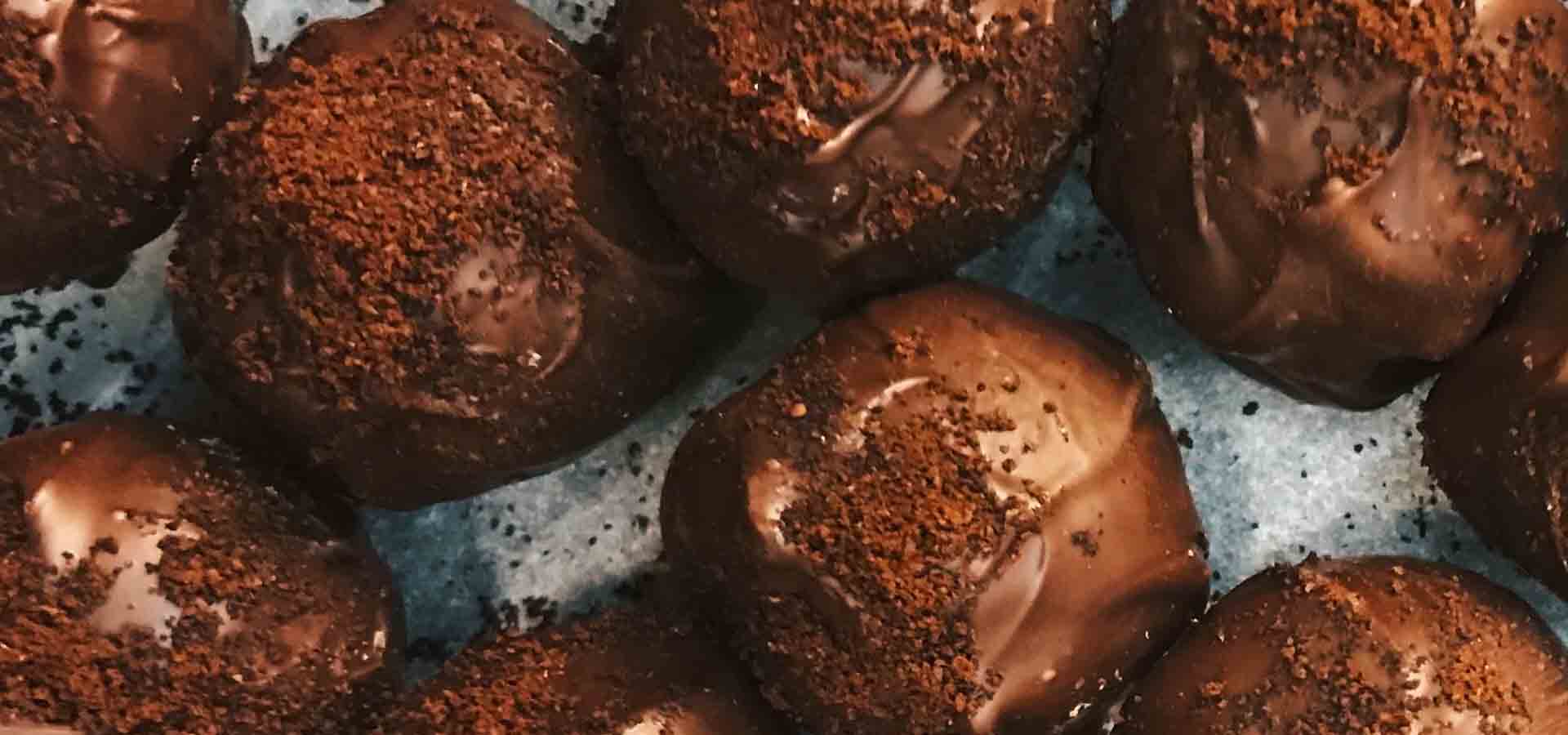 Chocolate Protein Bites