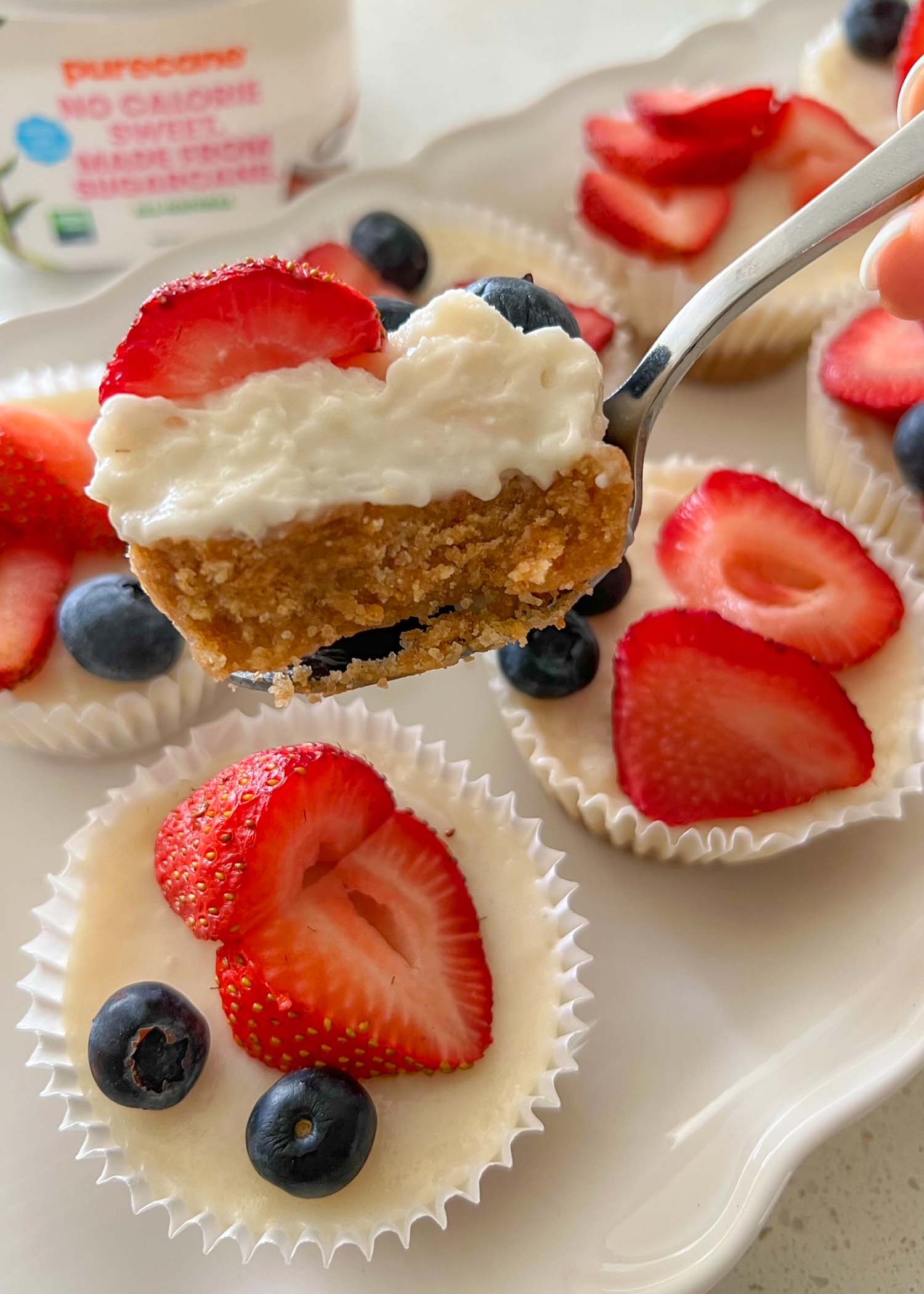 Vegan Mini Cheesecake Recipe - Sugar Free